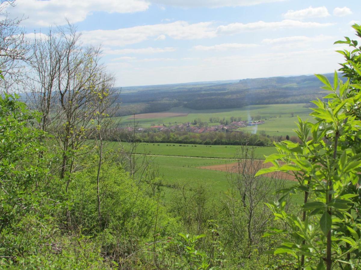 La Taniere Douce Bed and Breakfast Soulaucourt-sur-Mouzon Exteriör bild