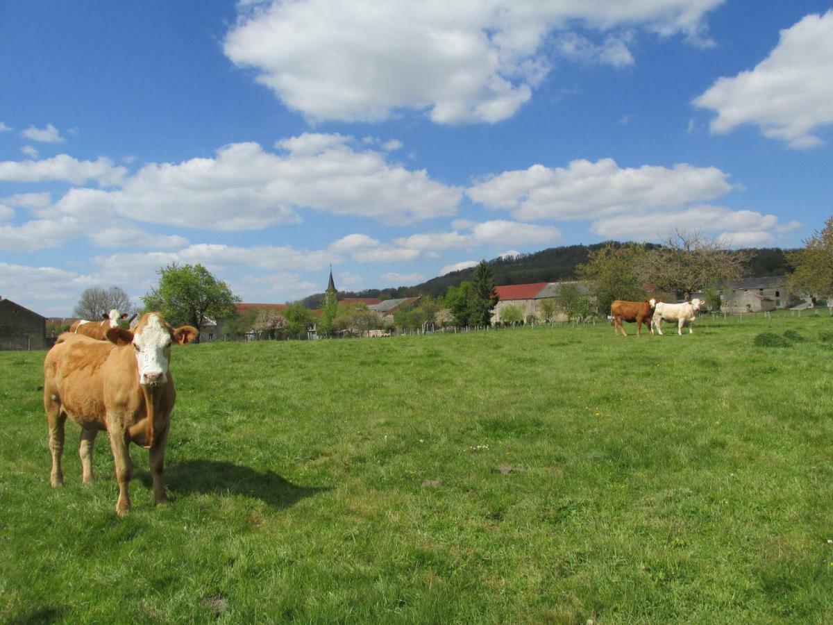 La Taniere Douce Bed and Breakfast Soulaucourt-sur-Mouzon Exteriör bild