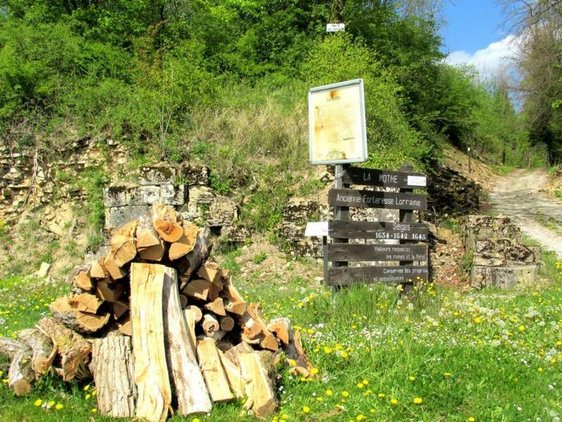La Taniere Douce Bed and Breakfast Soulaucourt-sur-Mouzon Exteriör bild